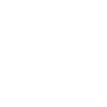 Diseño único